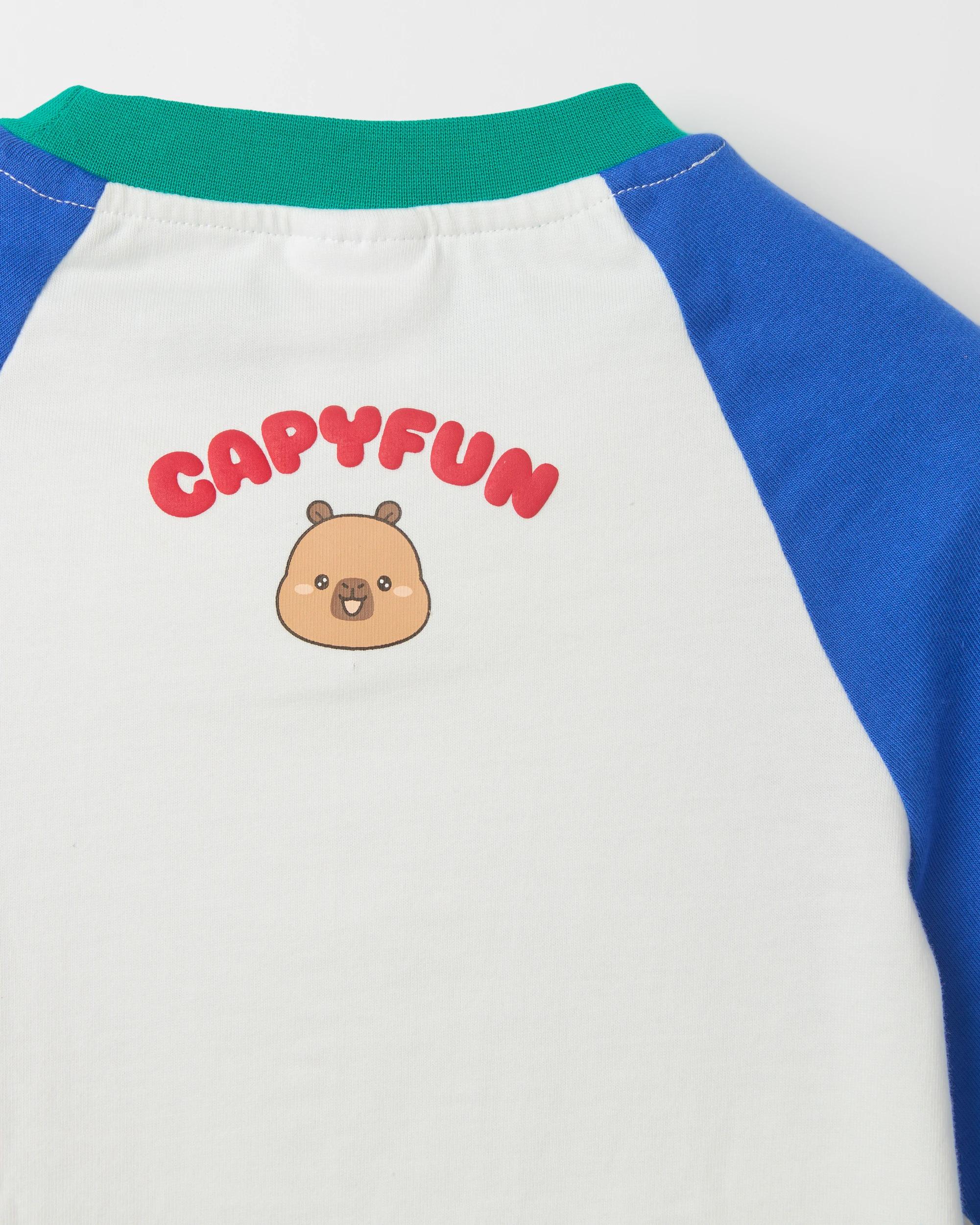 3 CapyFun Australian Cotton Raglan Sleeve Oversized Heavyweight T-Shirt MULTI, 3 of 3