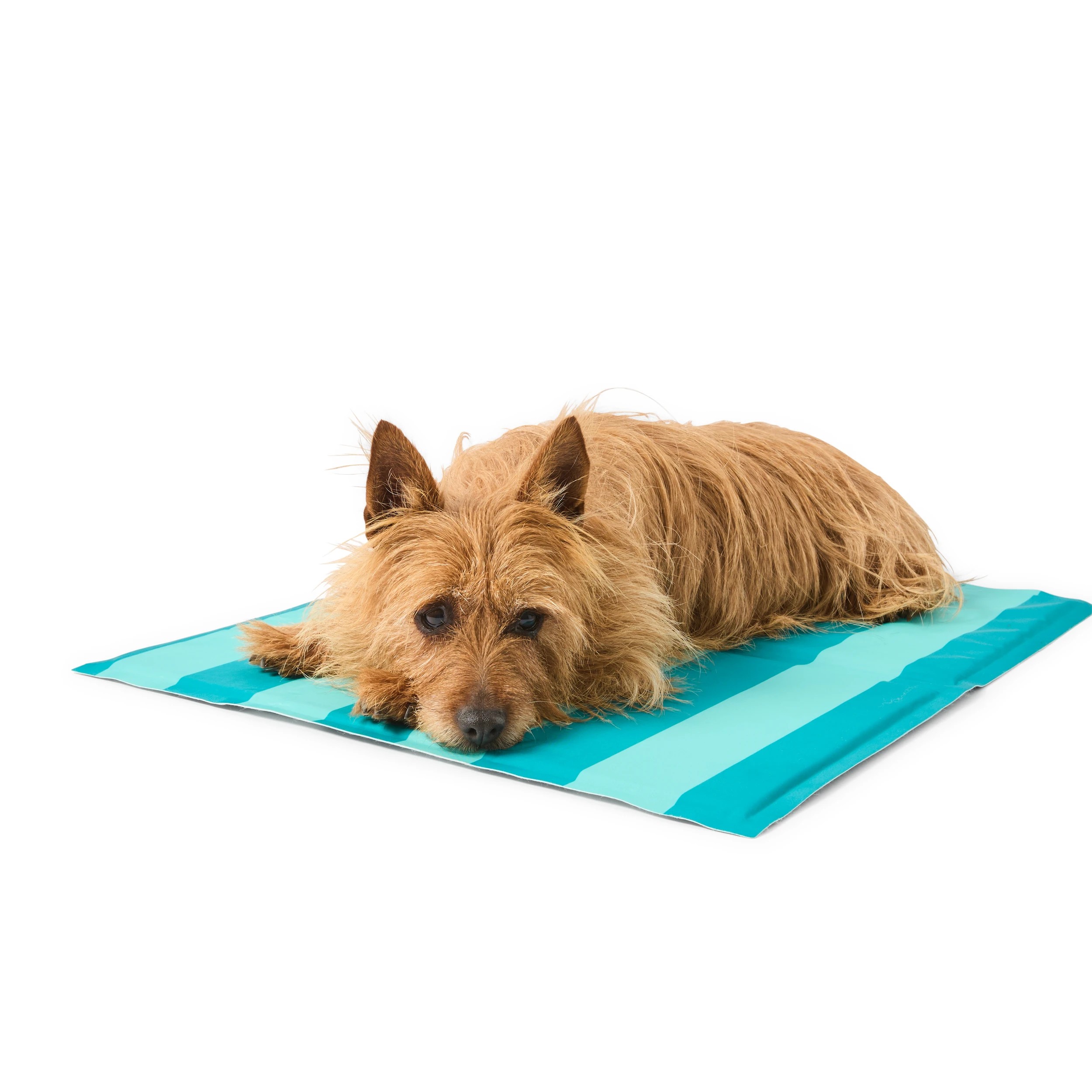 2 Summer Stripes Cool Mat - Medium, 2 of 7