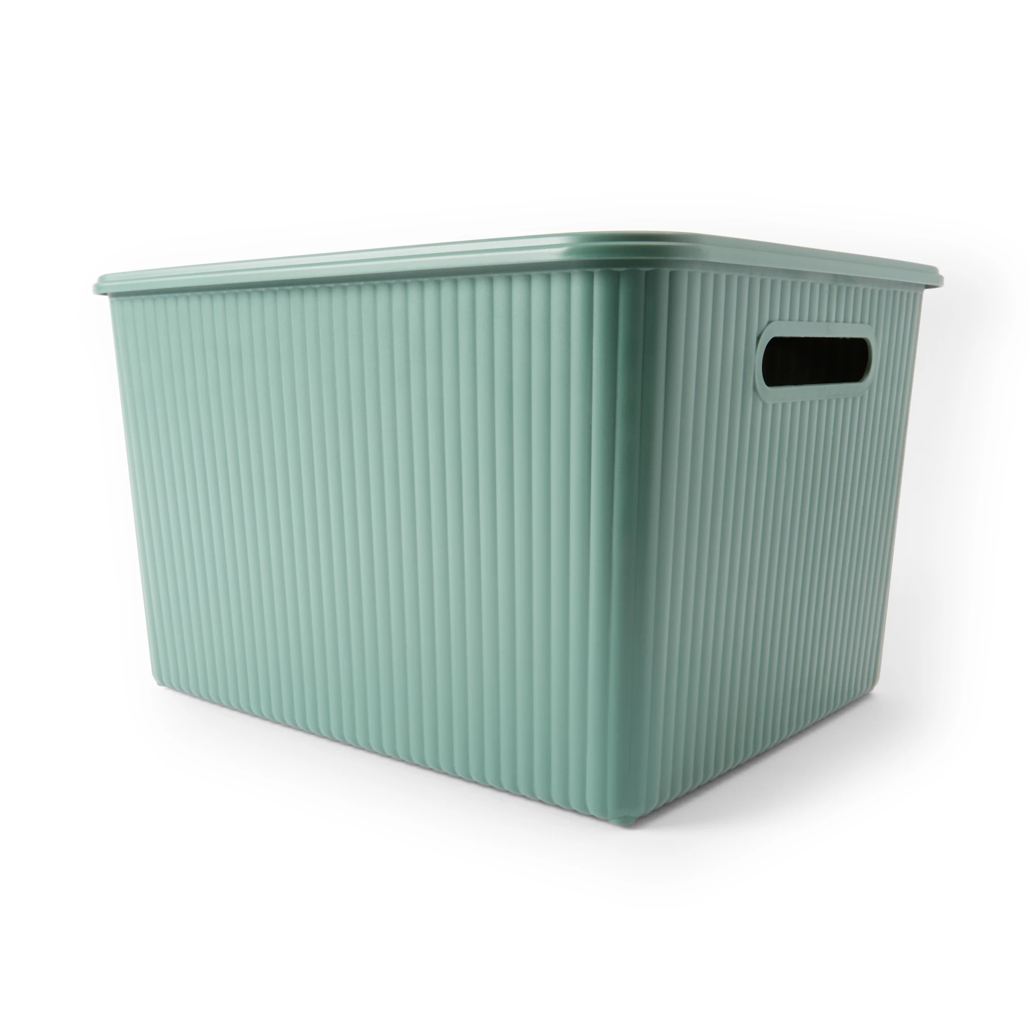 1 18L Ribbed Container - Green, 1 of 9