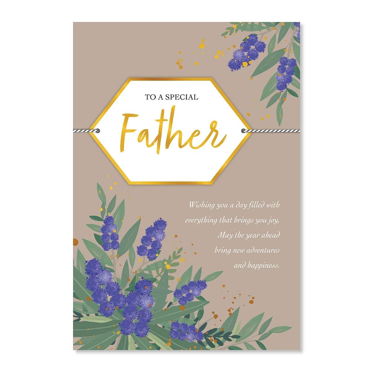 3 Hallmark Birthday Card - To a Special Father, 3 of 3