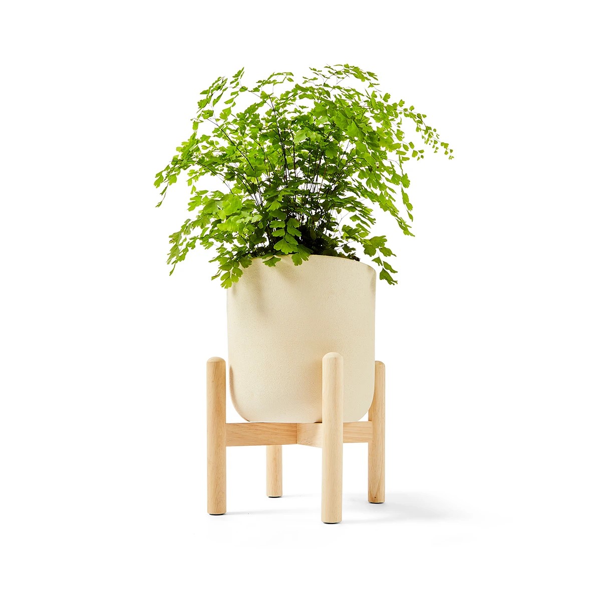 1 Pot on Stand, 1 of 8
