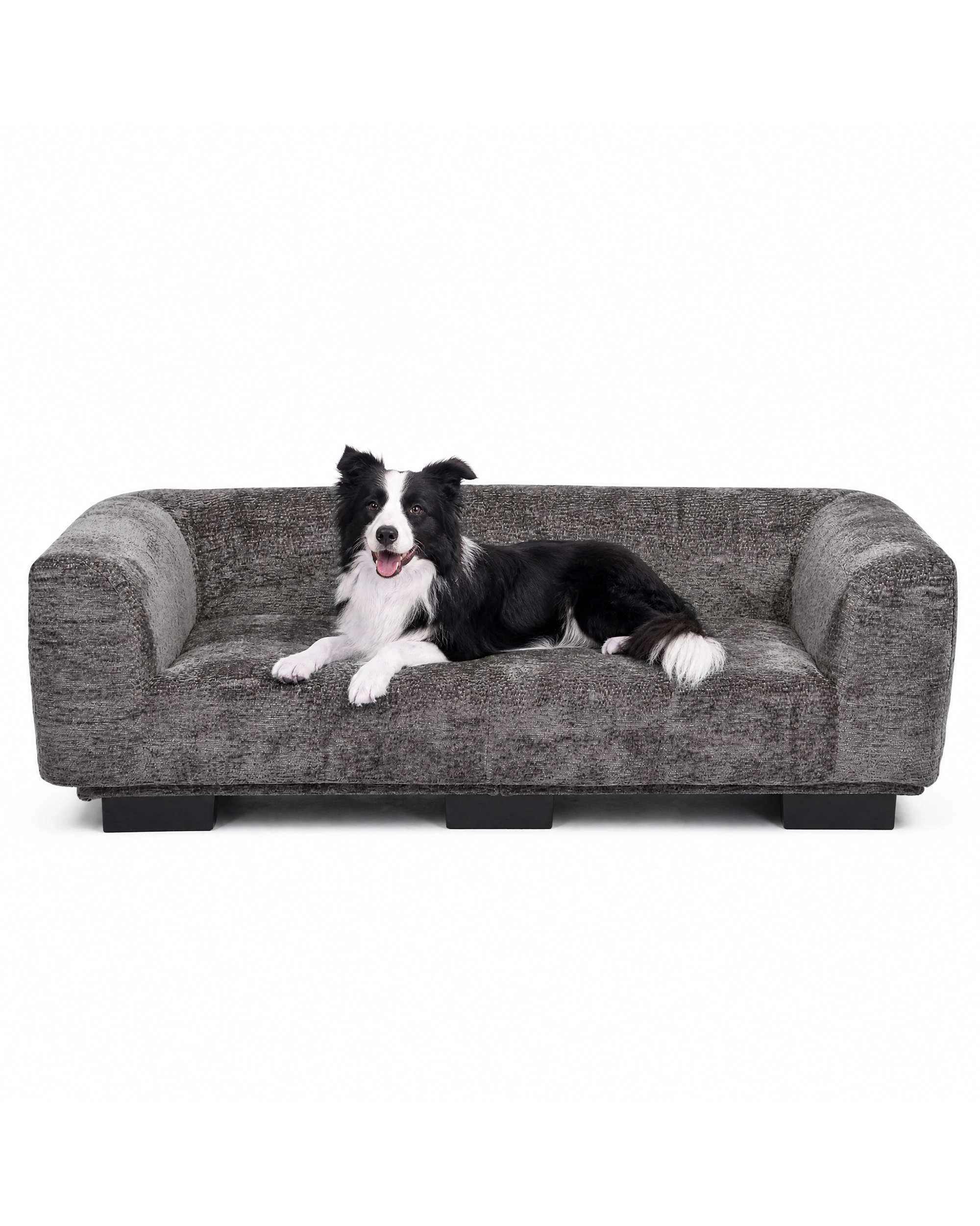 2 Advwin Pet Sofa Bed Elevated Pet Lounge Couch, 2 of 7