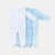 BLUE AEROPLANES