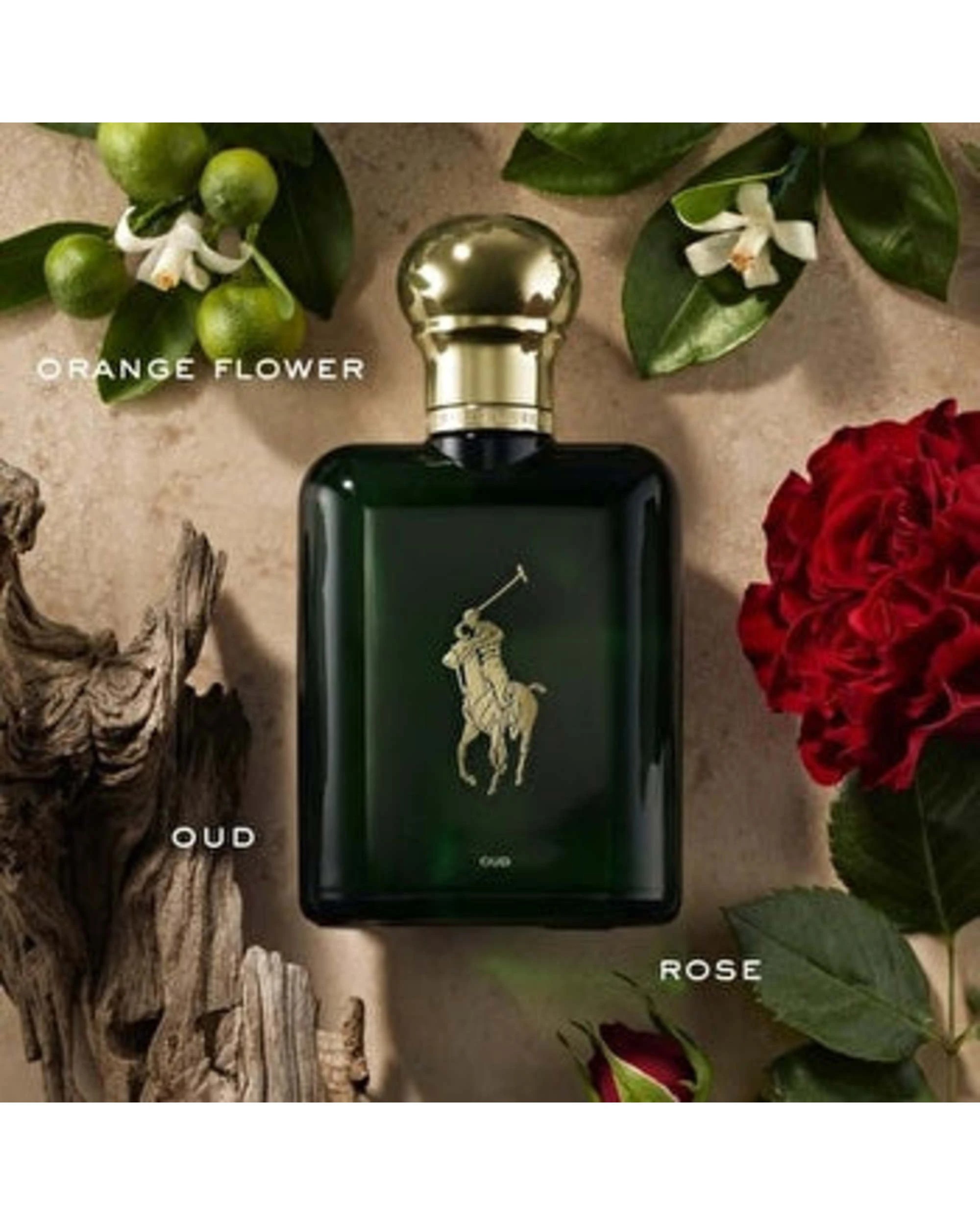 2 Ralph Lauren Polo Oud Eau de Parfum 100ml, 2 of 3