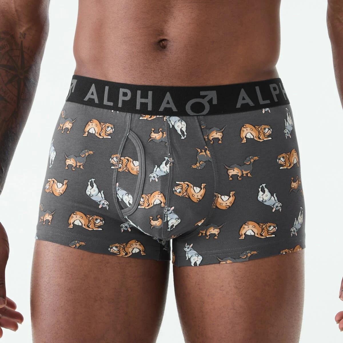 4 3 Pack Fly Front Print Trunks Hey Pups, 4 of 8