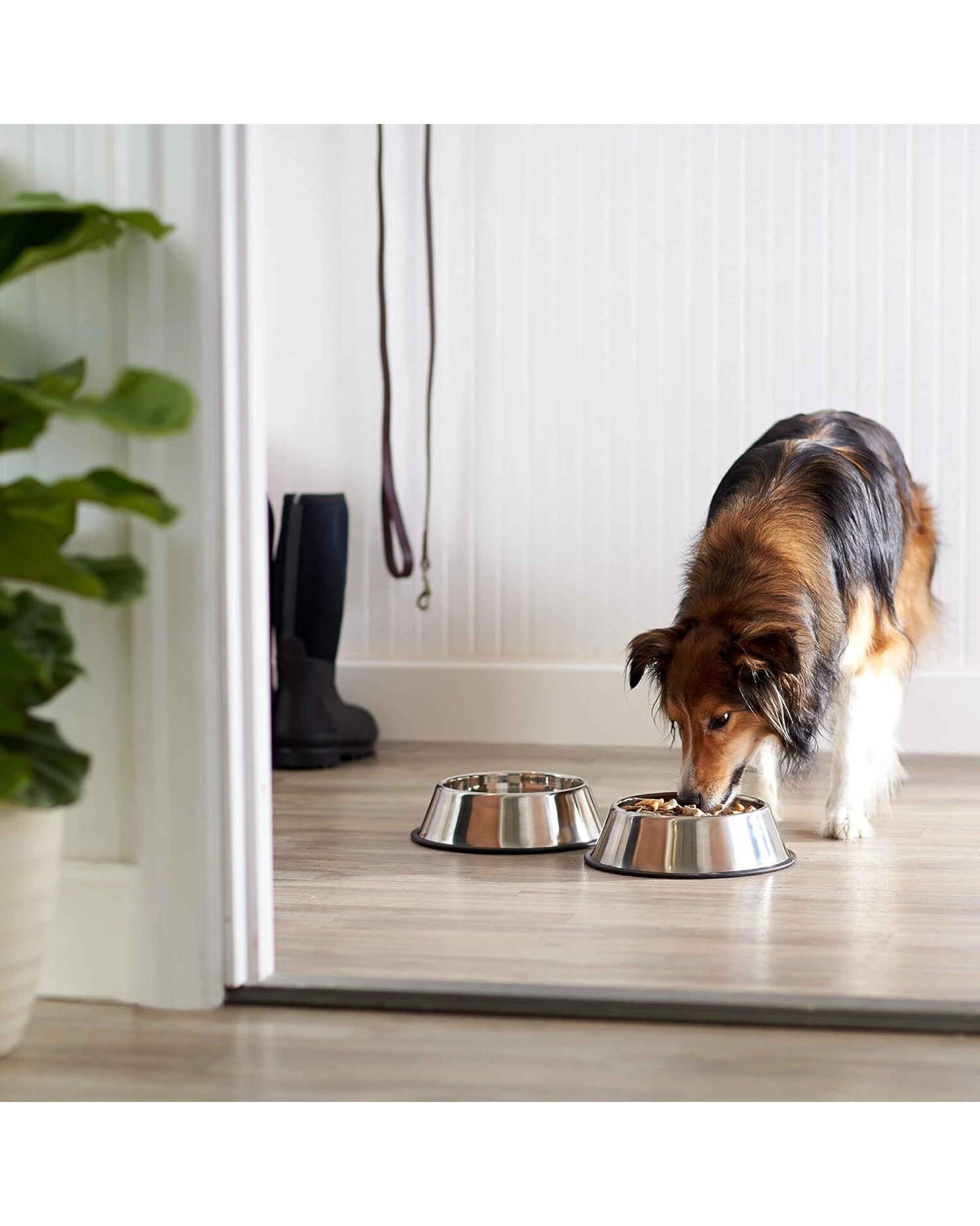 5 BR Pets Stainless Steel Dog Bowl for Food and Water, 5 of 5