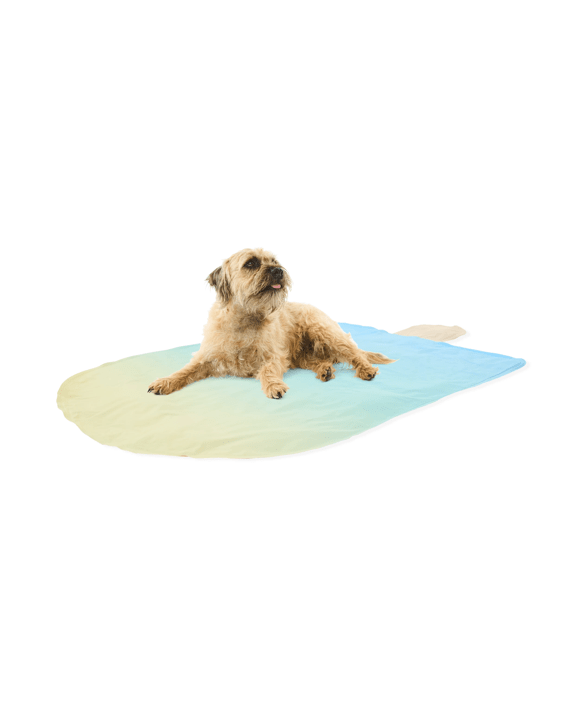 Pet Cooling Mat - Ice Cream