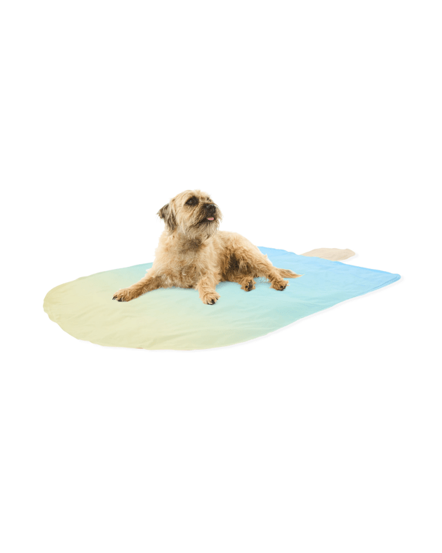Pet Cooling Mat - Ice C