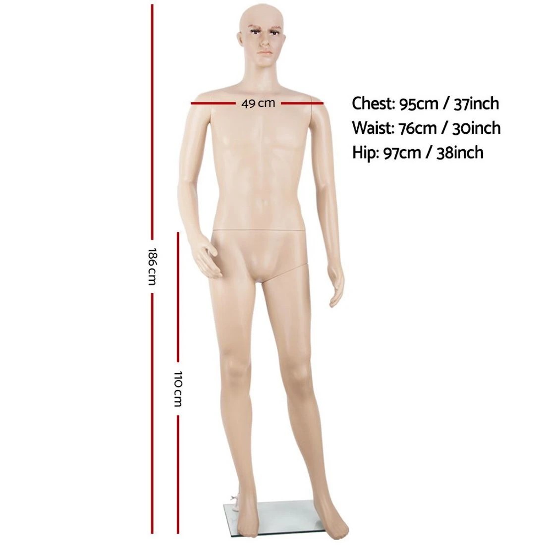 2 Embellir Male Mannequin Full Body Display Clothes Dummy Model Dressmaking Torso - White, 2 of 8