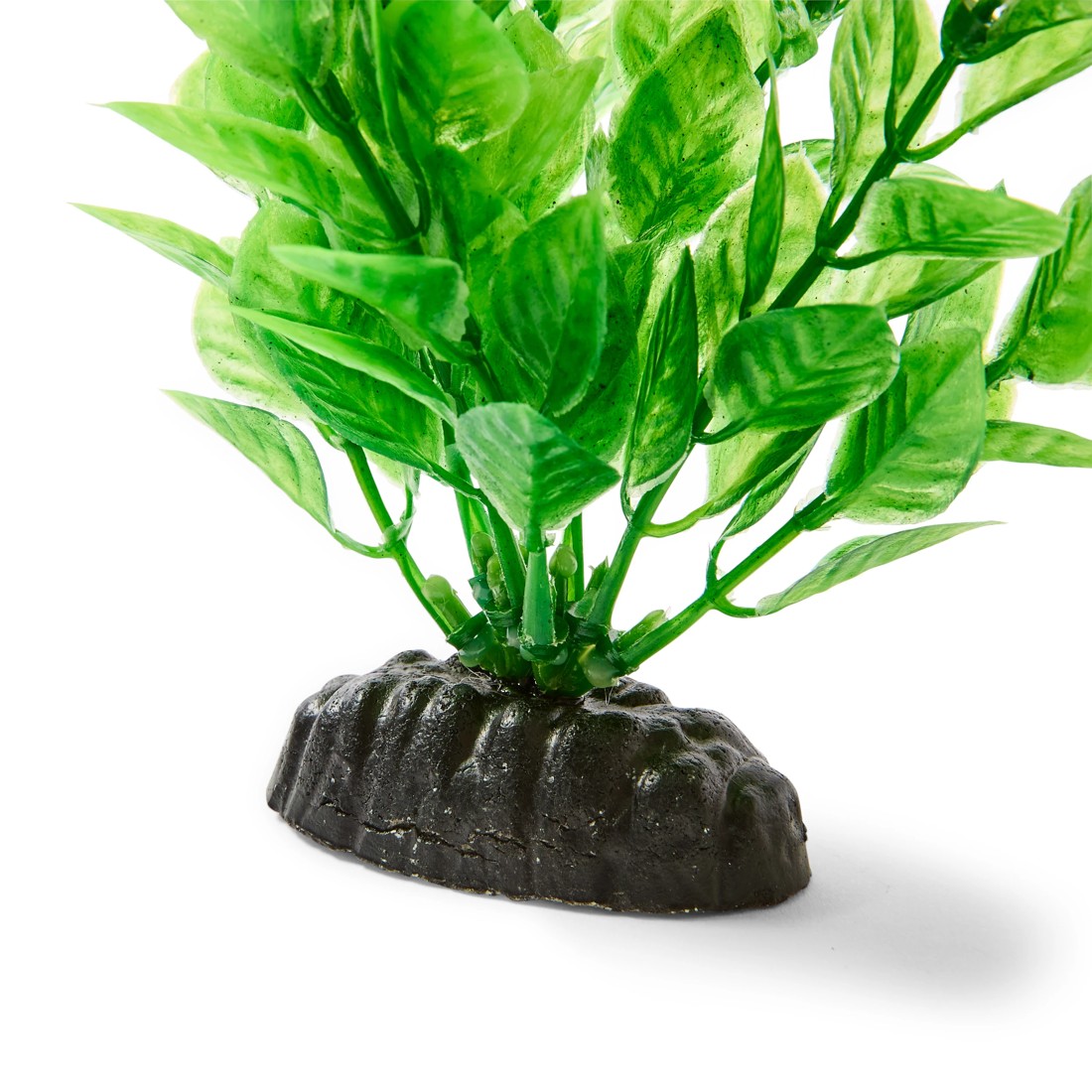 6 Aquarium Natural Plants 4 Pack - Large, 6 of 10