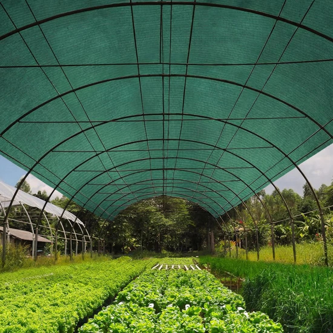 5 Instahut 50% Shade Cloth 1.83x50m Shadecloth Sail Heavy Duty - Green, 5 of 5