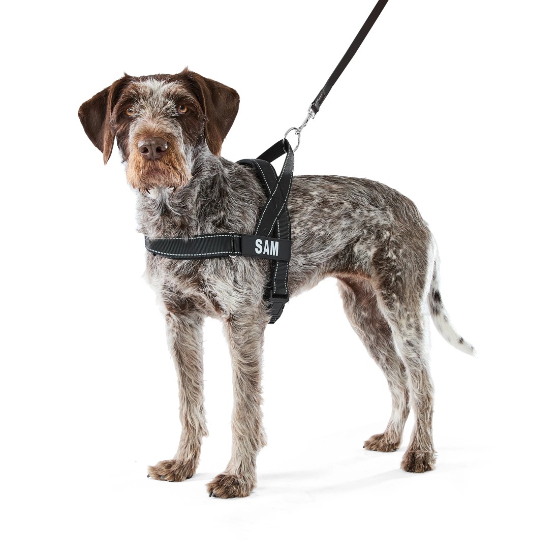 1 Pet Customisable Harness - Large, 1 of 10