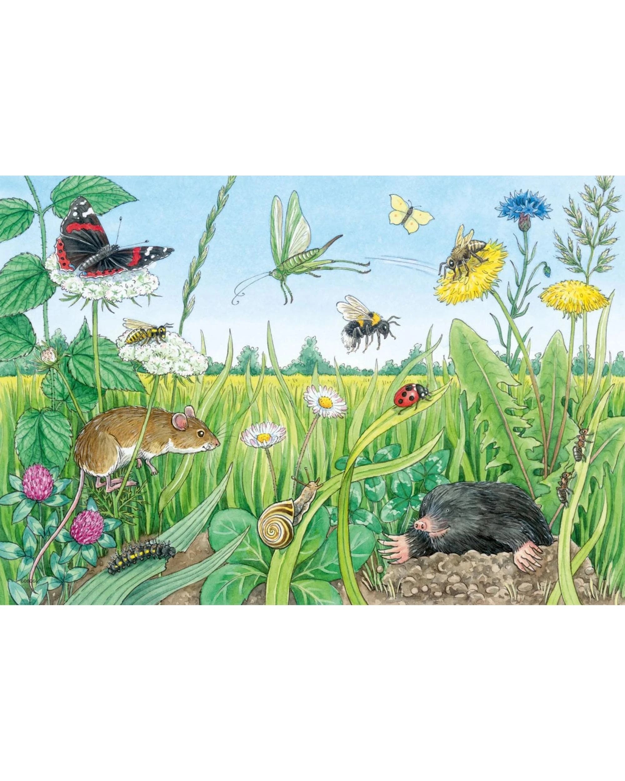 3 Ravensburger Animals In The Forest and Meadow 2x12 Piece Puzzle, 3 of 3