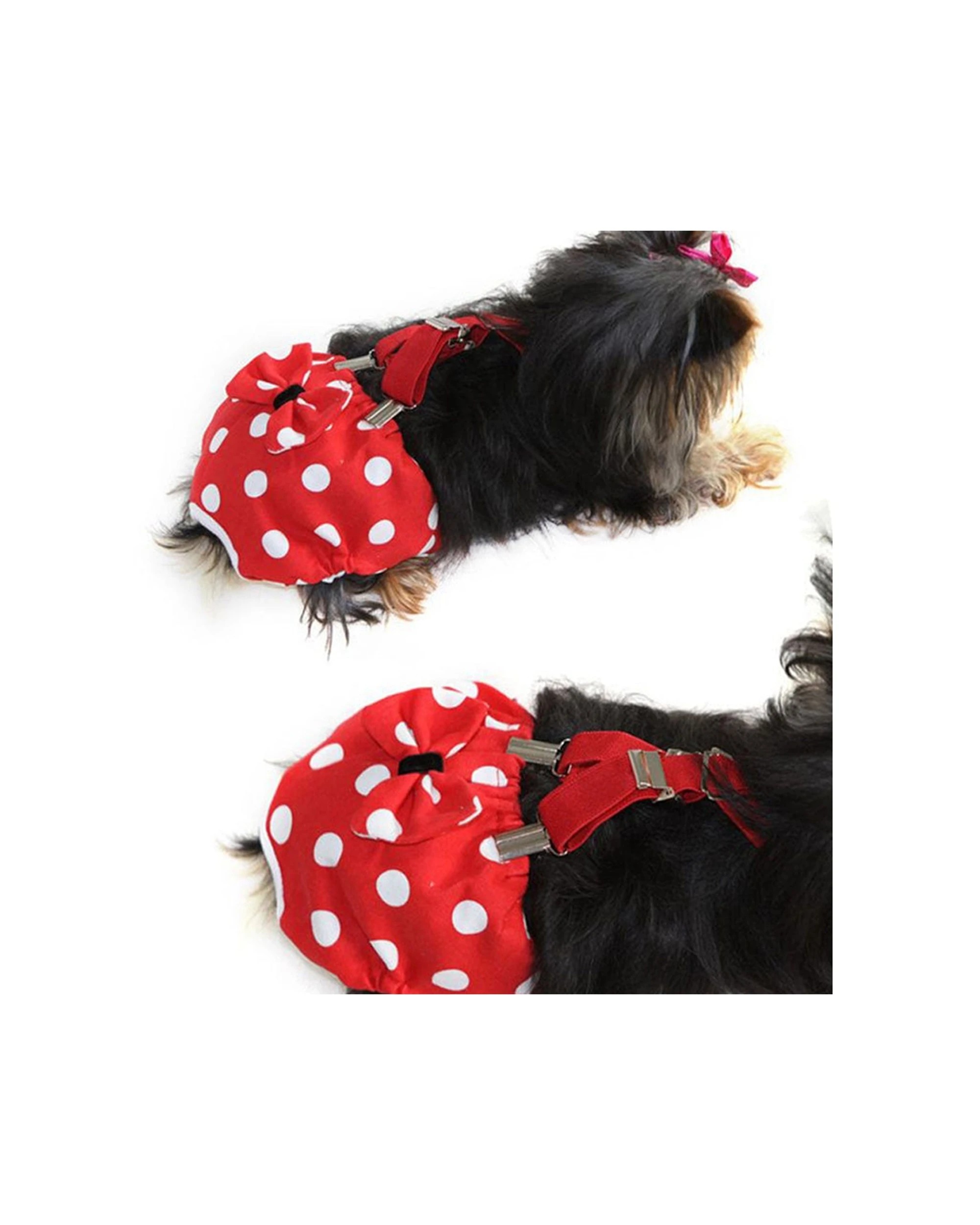 3 Cotton More 2pc Female Dog Reusable Sanitary Underpants Diaper Polka Dots Small - Red, 3 of 9