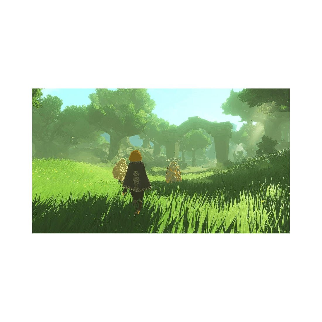 2 Nintendo Hyrule Warriors: Age of Imprisonment - Switch 2, 2 of 7