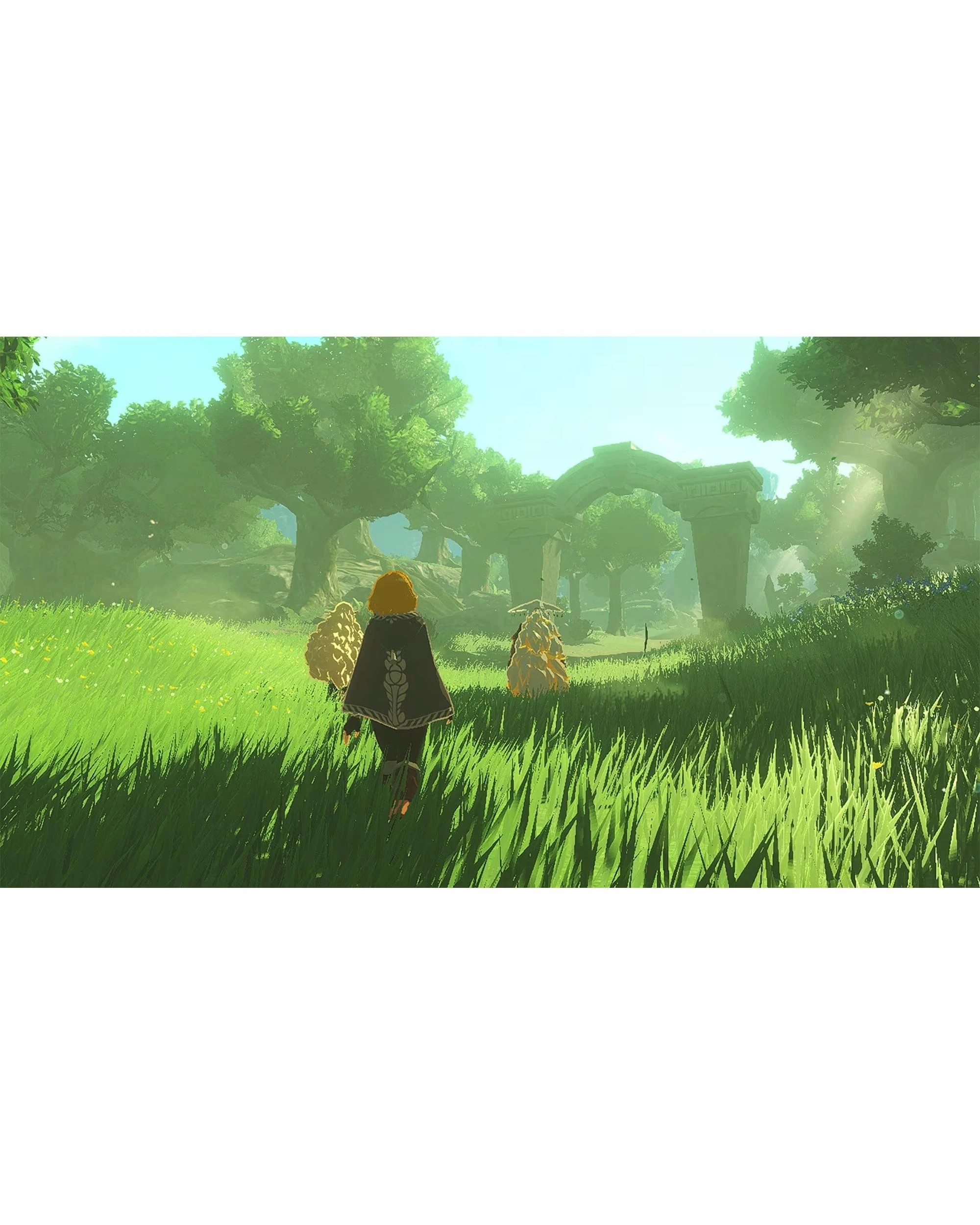 2 Hyrule Warriors: Age of Imprisonment - Switch 2, 2 of 7