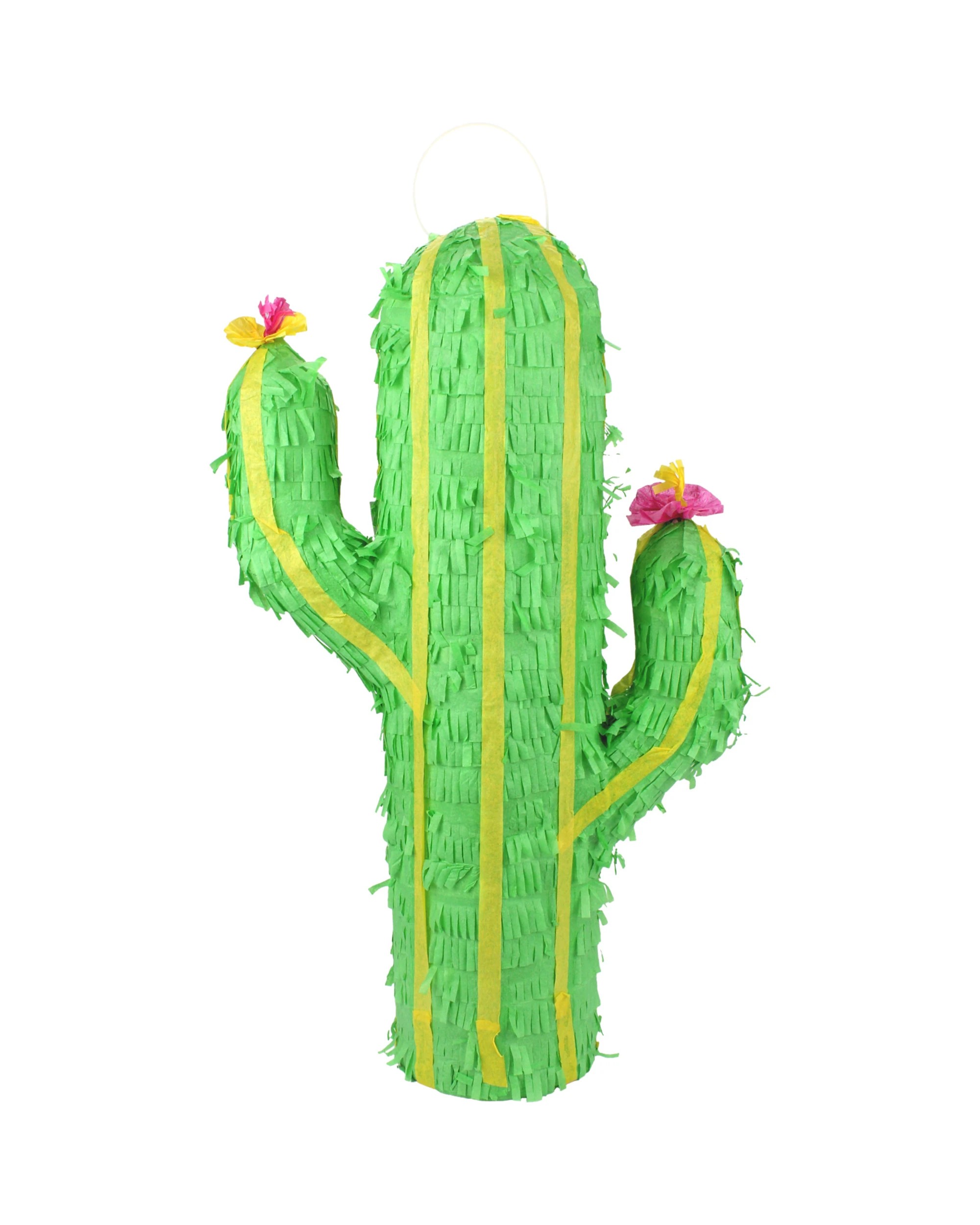 1 Unique Cactus Pinata 50cm, 1 of 1
