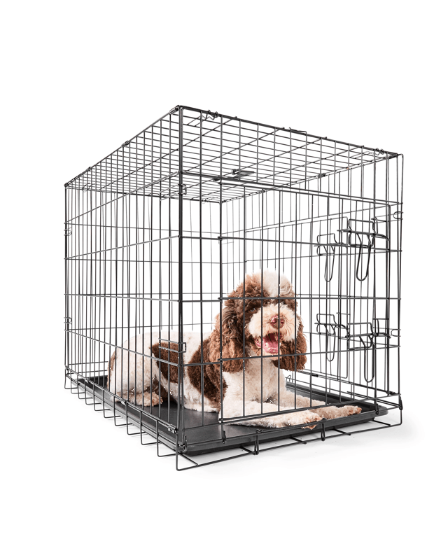 Pet Folding Crate - Me