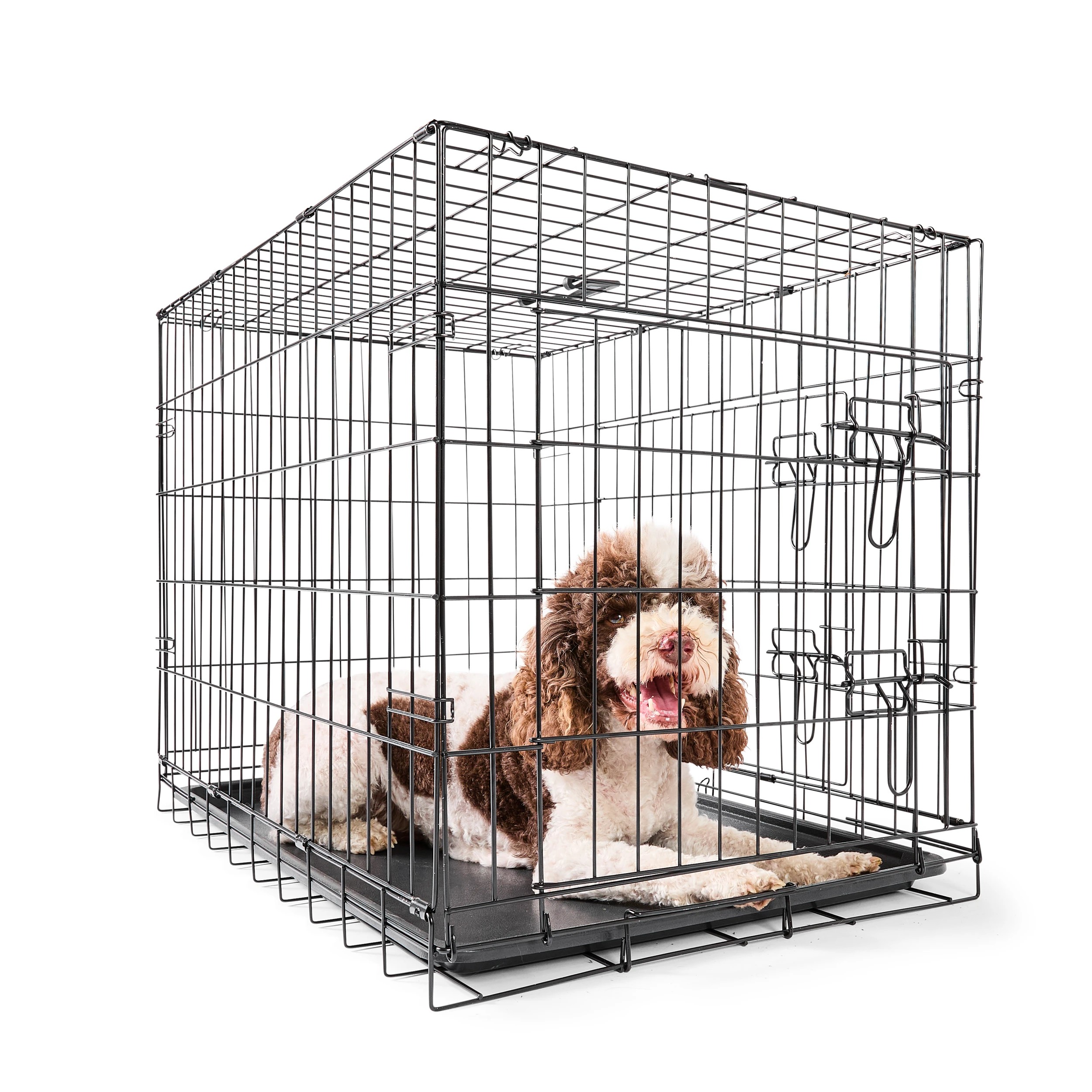 1 Pet Folding Crate - Medium, 1 of 10