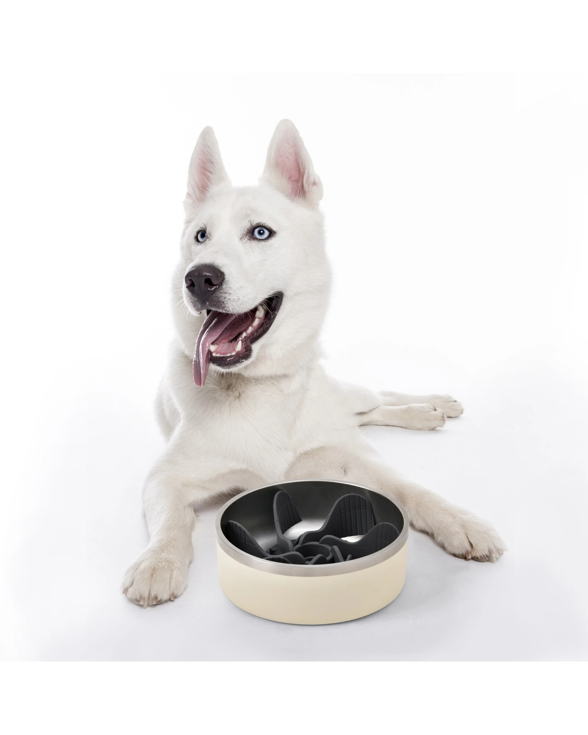 4 Charlie's Duro Double Wall Insulated Stainless Steel Dog Bowl with Removable Slow Feeder Attachment Large 1.89L - Cream, 4 of 6
