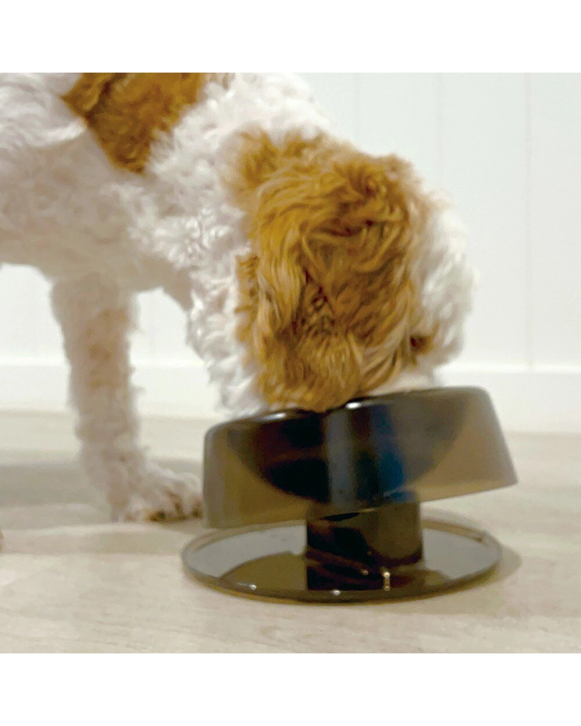 3 Ibiyaya Tilt-n-Serve Pet Feeding Bowl Adjustable Non Slip Food-Grade 420ml - Multi, 3 of 3