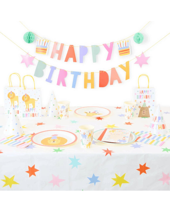 100 Piece Party Box - Animal