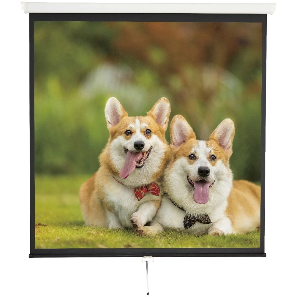 9 Brateck 80" 1:1 Auto-Lock Manual Projector Screen, 9 of 9