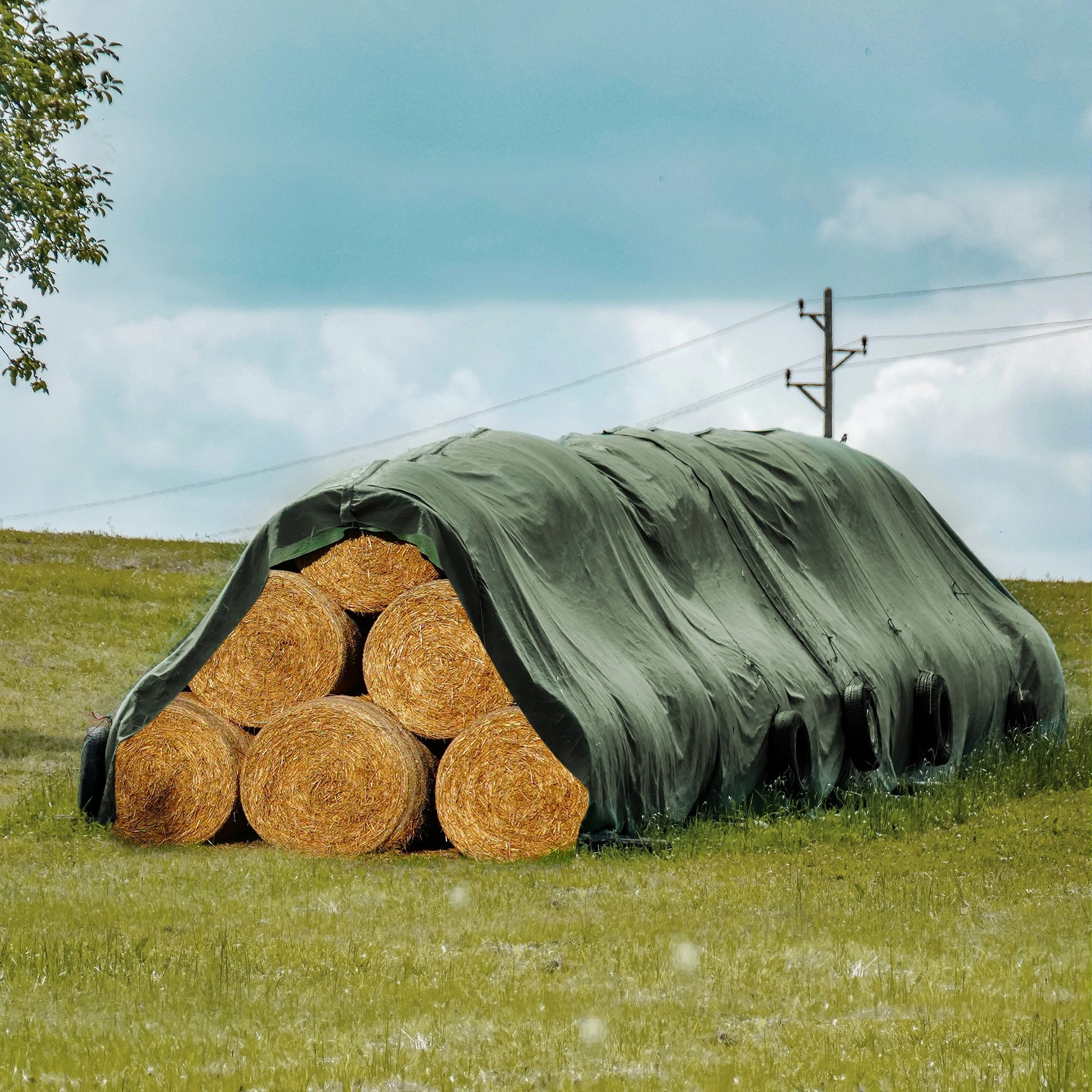 7 Mountview 2X3M Heavy Duty Canvas Tarp Tarpaulin Sun Blocked Dustproof Colour - Green, 7 of 7