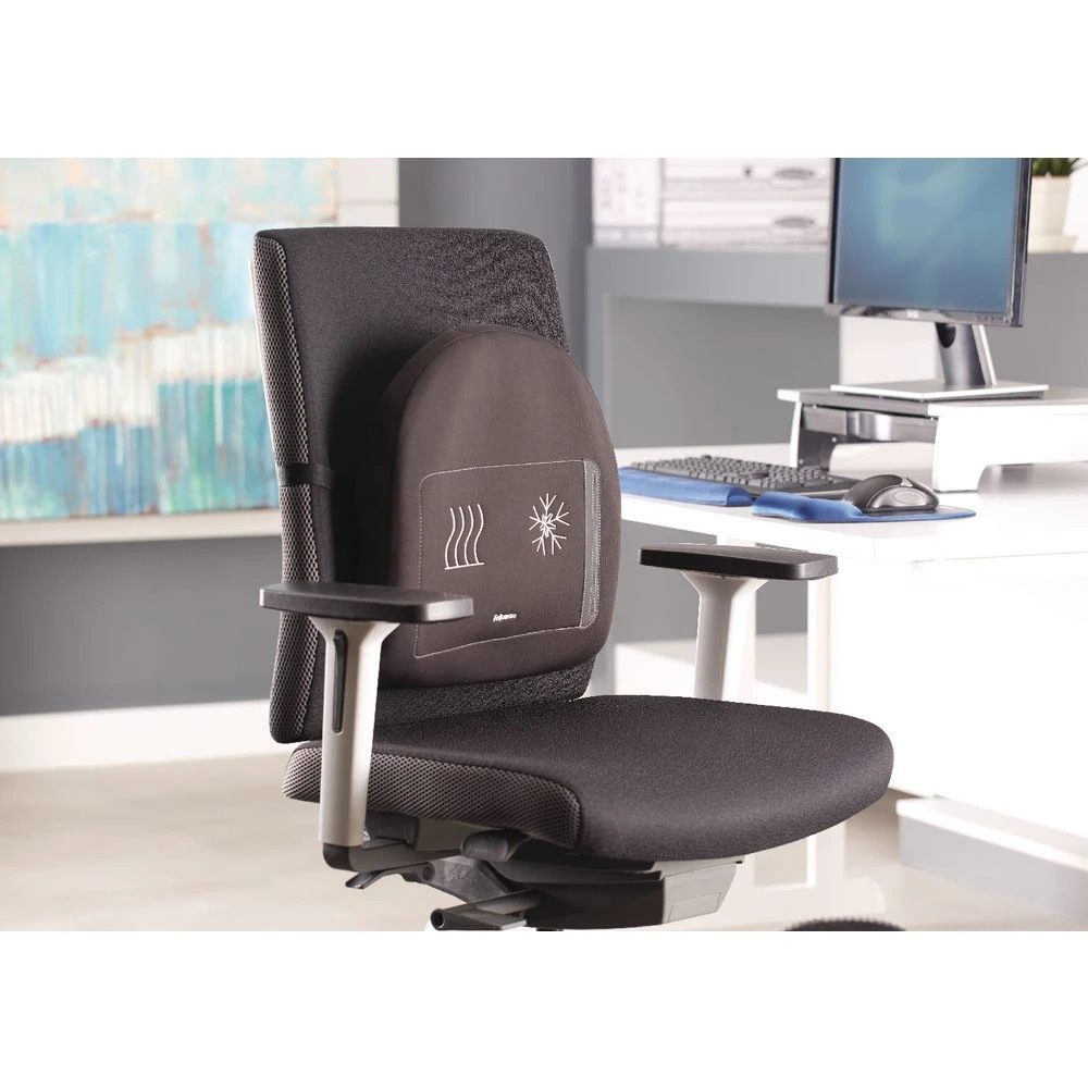 5 Fellowes Heat and Soothe Back Support, 5 of 5