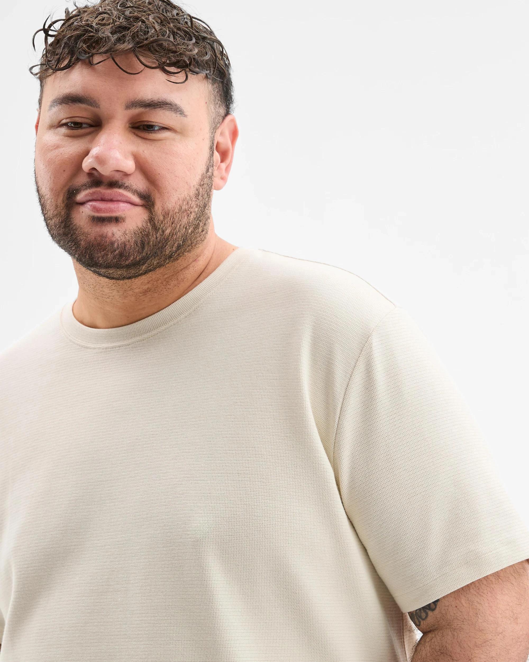 3 Target Plus Size Australian Cotton Blend Textured T-Shirt BIRCH, 3 of 6