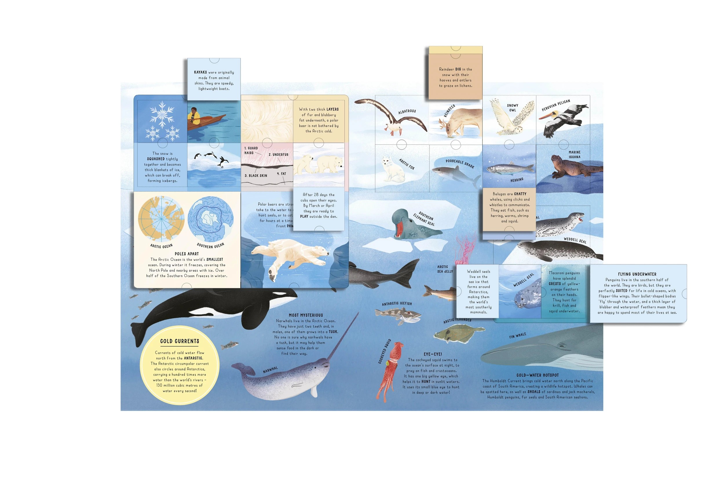 5 Lift-the-Flap Encyclopaedia of Oceans: 200 Flaps to Explore - Book, 5 of 9