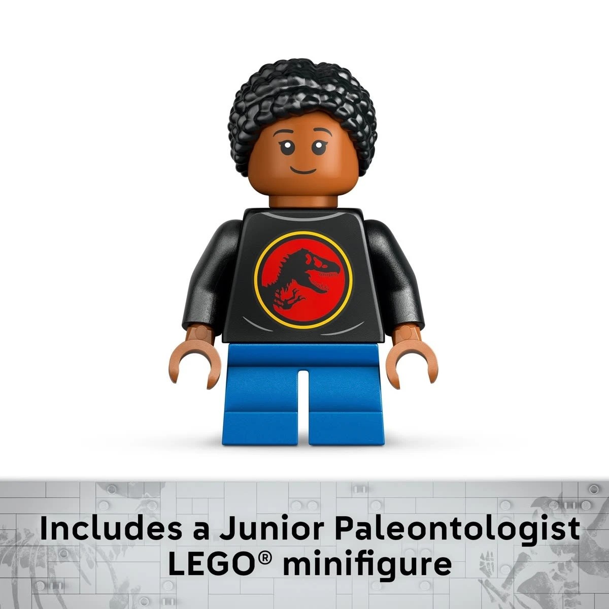 9 LEGO Jurassic World Dinosaur Fossils: Triceratops Skull 76969, 9 of 10