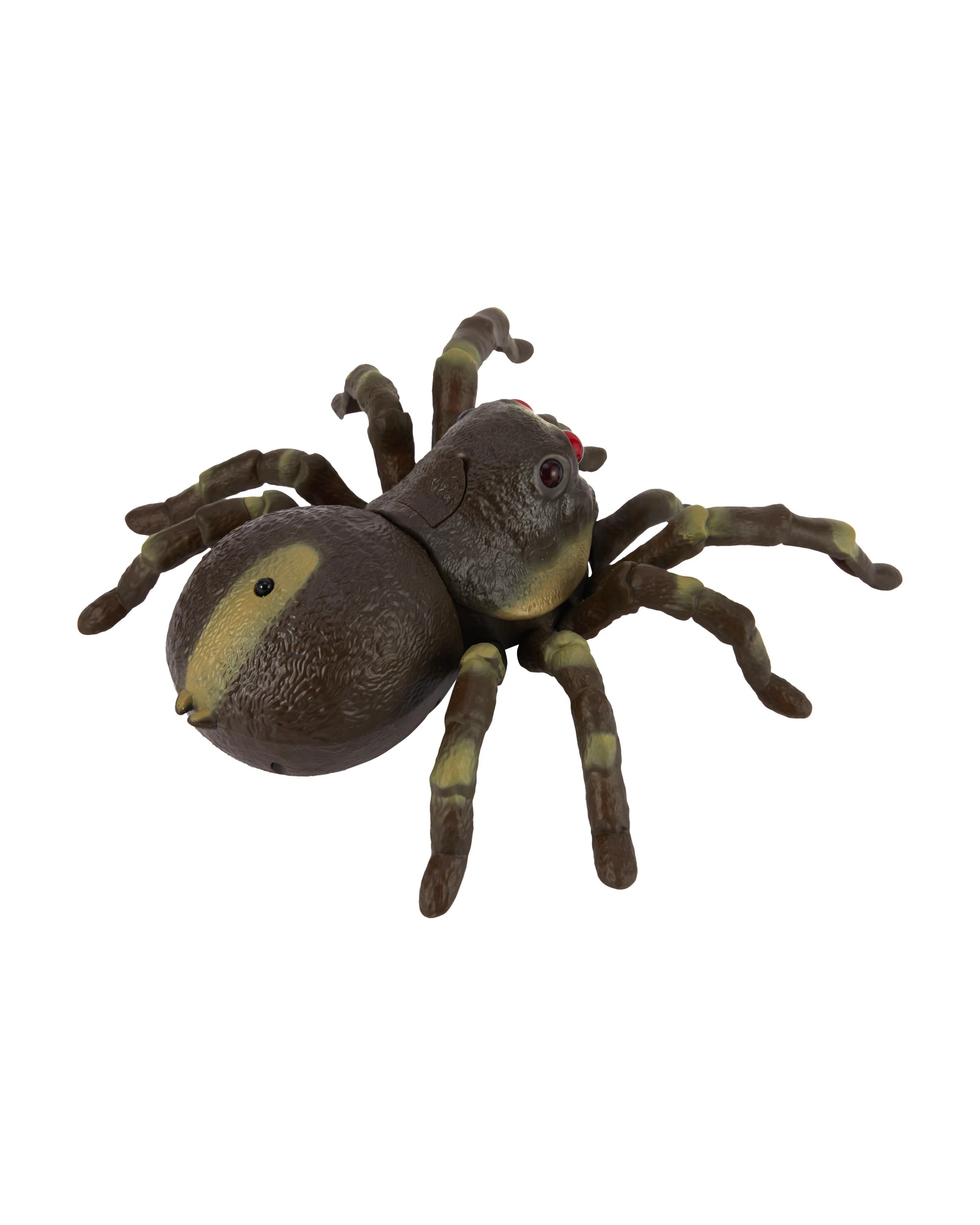 4 Remote Control Spider, 4 of 9