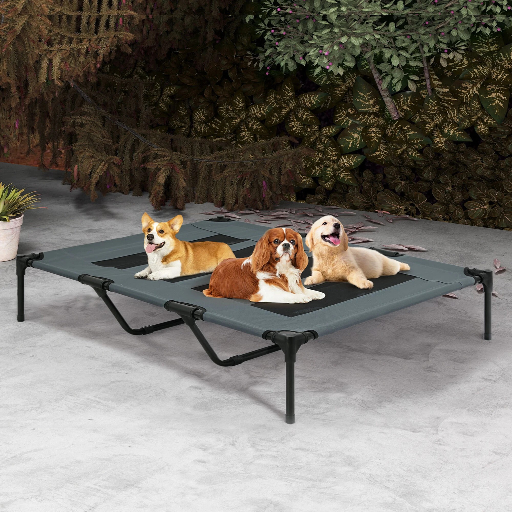 8 Pawz Elevated Pet Bed - Black, 8 of 9