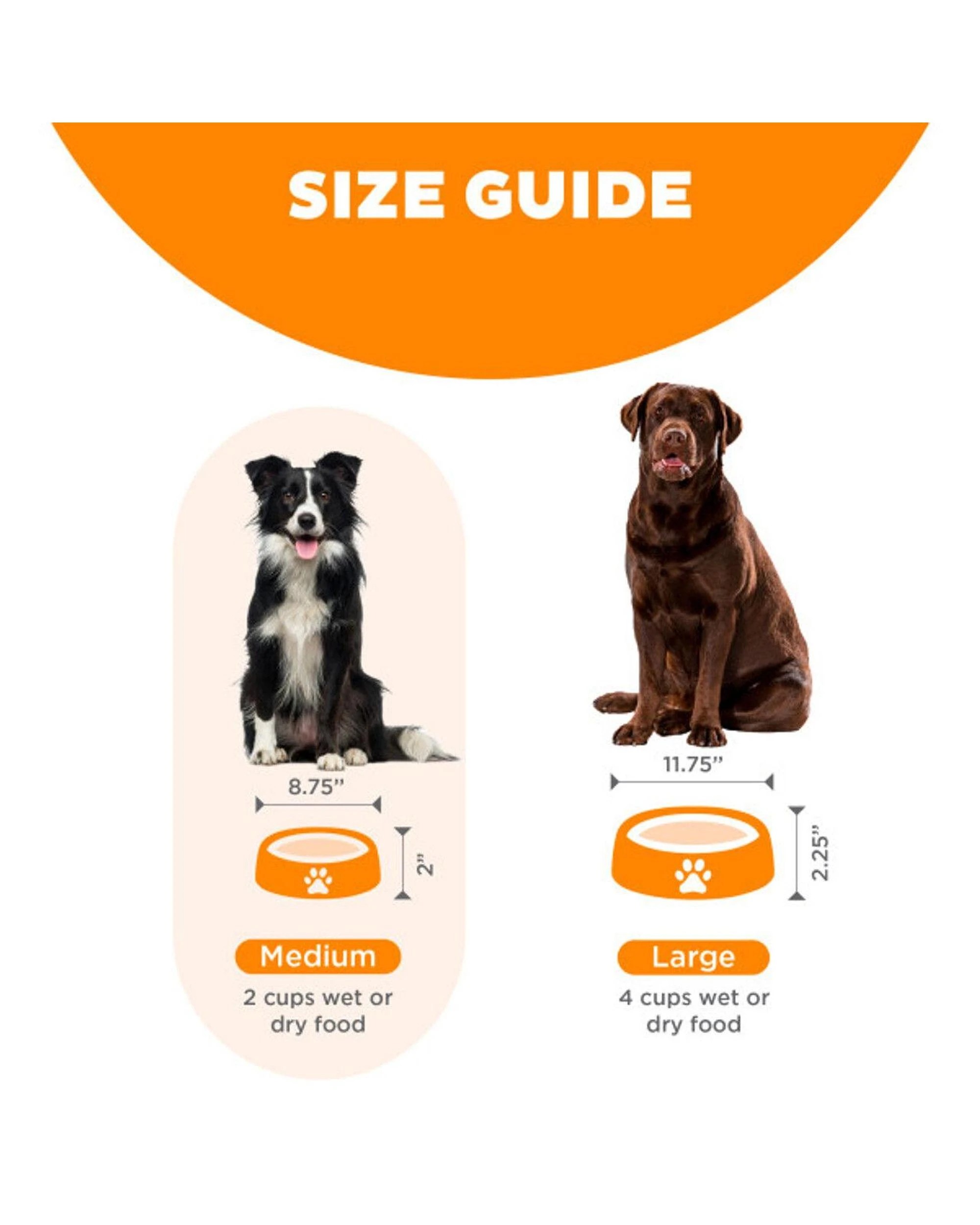 5 Outward Hound Fun Feeder Interactive Slow Bowl Coral Maze for Dogs Orange Large, 5 of 6
