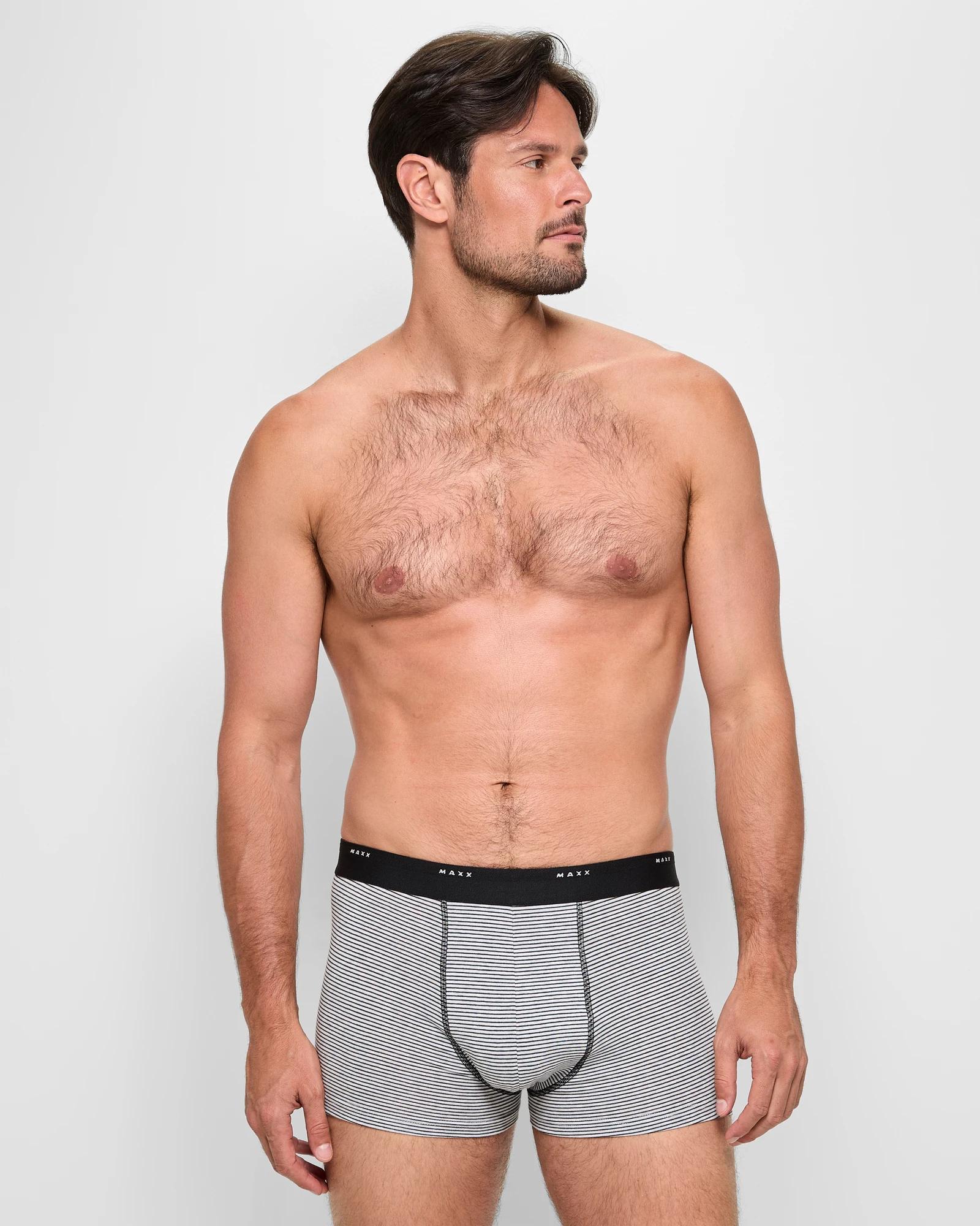 2 3 Pack Australian Cotton Blend Hipster Trunks - Maxx GREY STRIPE, 2 of 3