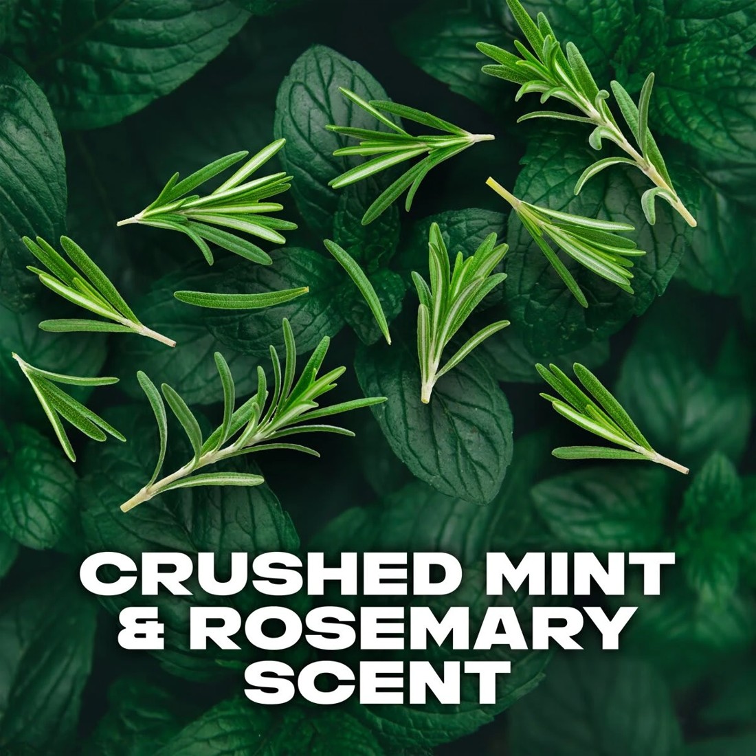 5 LYNX New Zealand Deodorant Bodyspray, 5 of 7