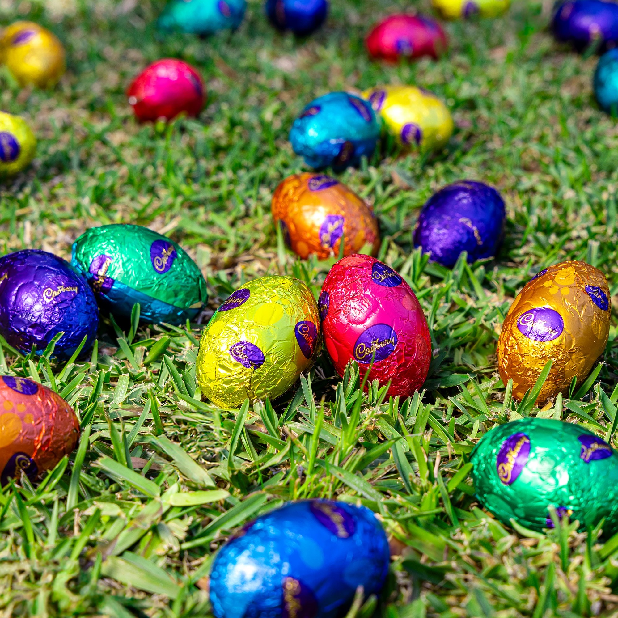 4 Cadbury Dairy Milk 15 Pack Hollow Easter Eggs 255g, 4 of 4