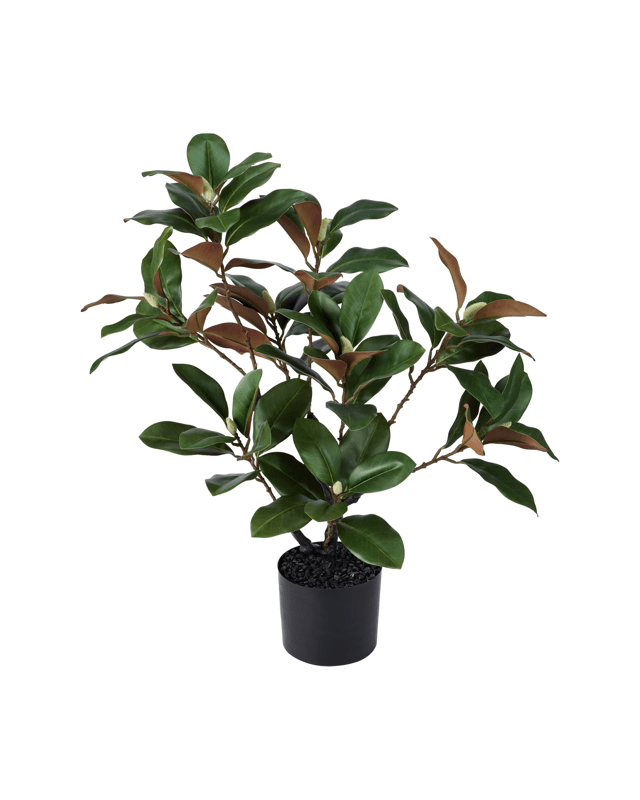 Artificial Magnolia 
