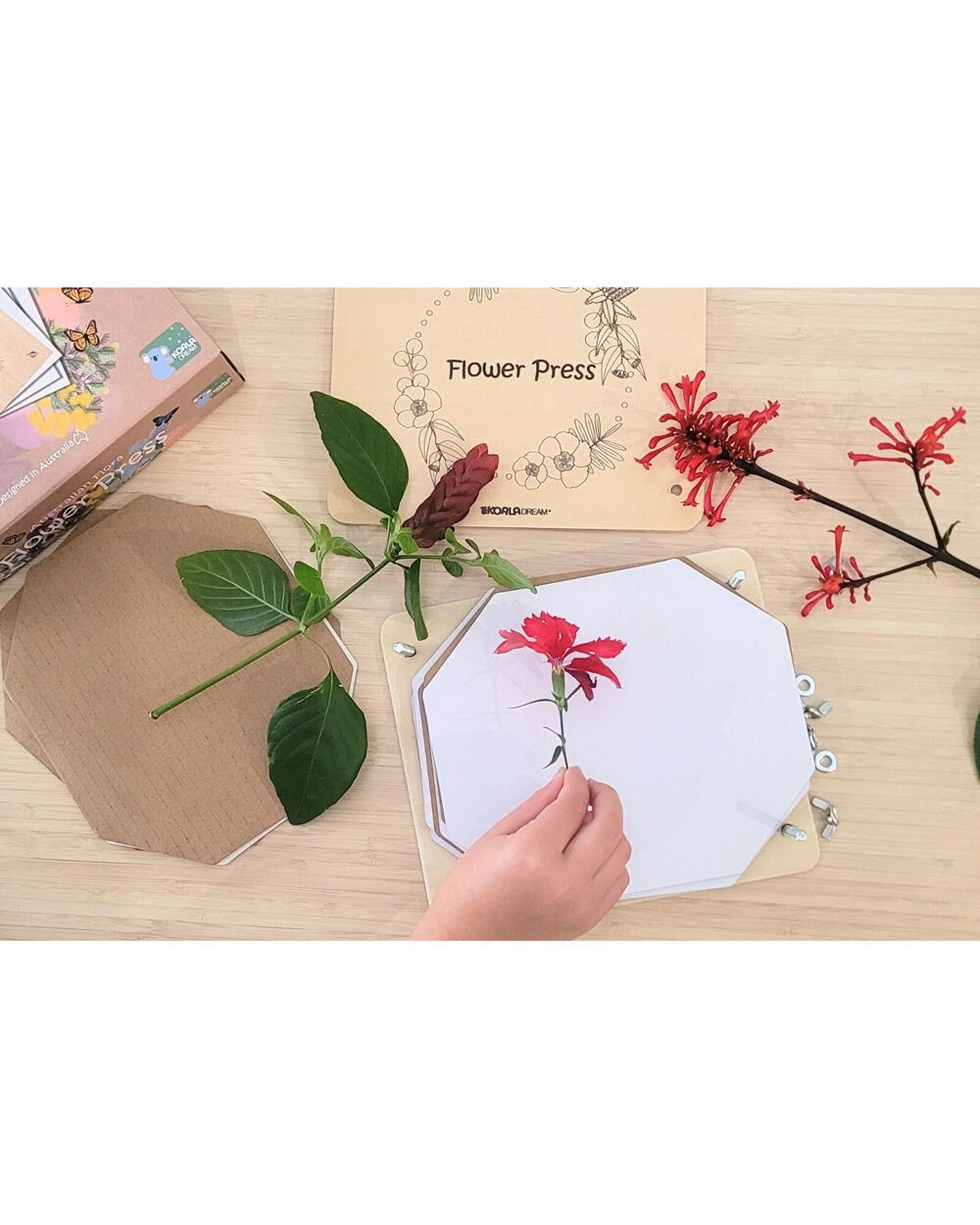 7 Kaper Kidz Australian Flora Flower Press Craft Kit Creativity Kids Activity - Natural, 7 of 7