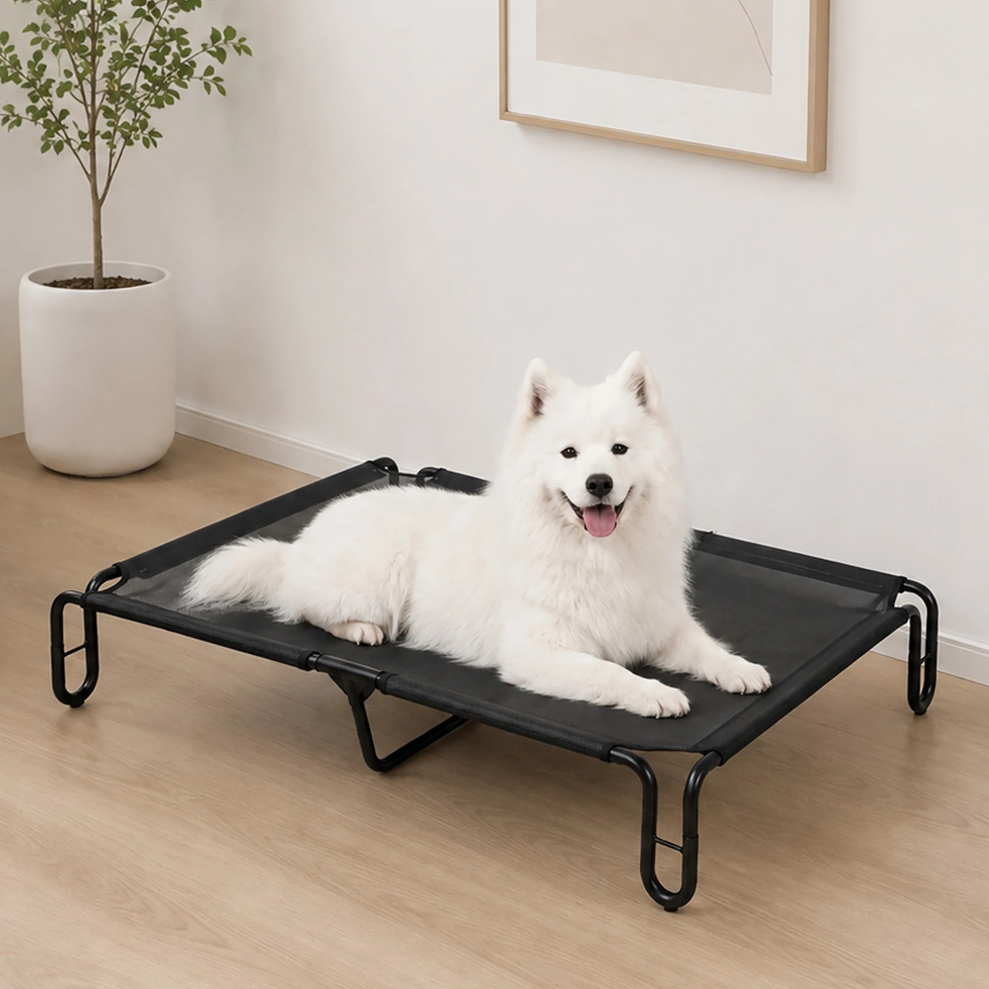 8 Pawz Elevated Dog Bed M Breathable Mesh Cooling for Indoor Outdoor Black, 8 of 8