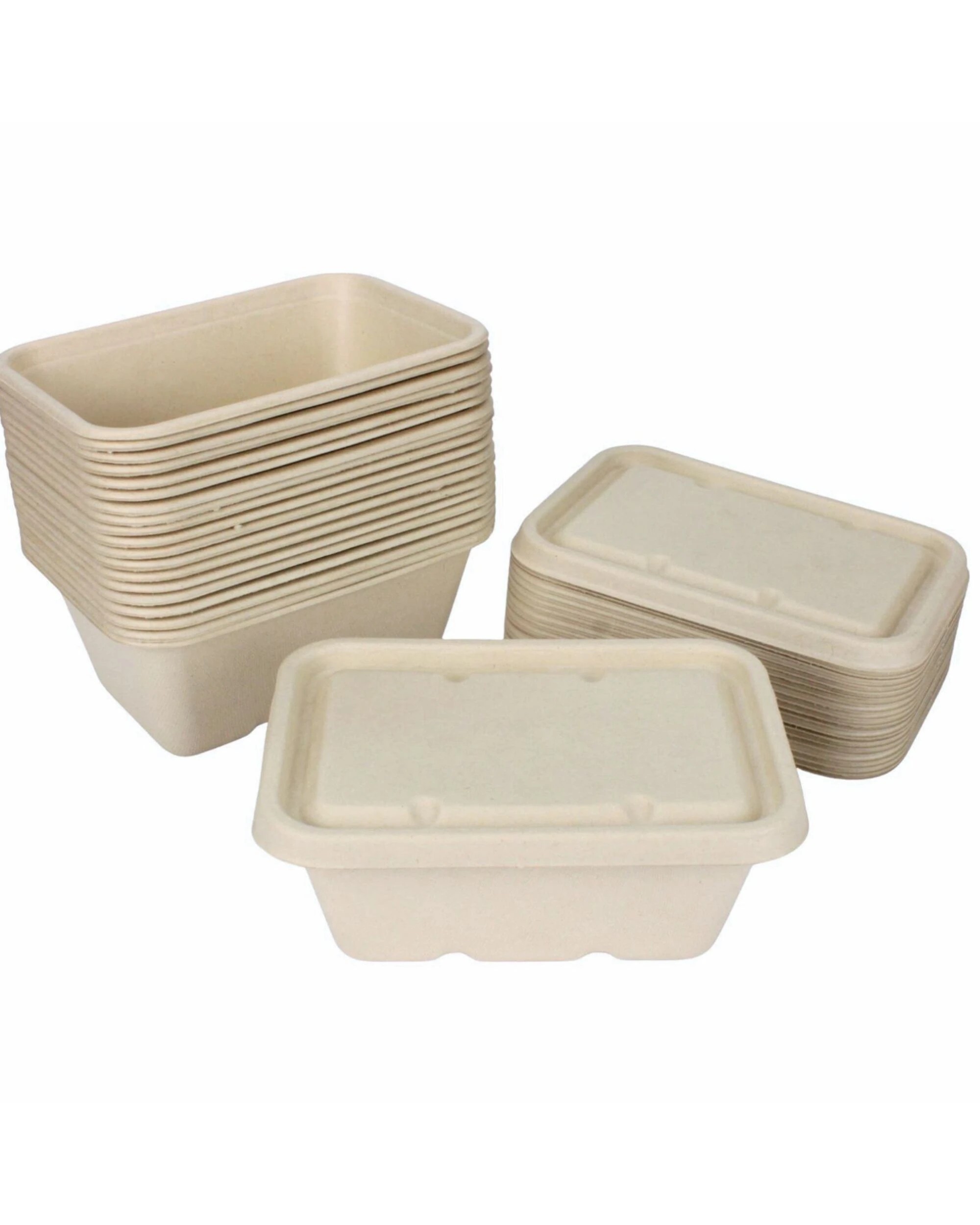 1 Lemon & Lime Eco Sugar Cane Food Containers With Lids 1 Litre Value Pack of 20 - Natural, 1 of 4