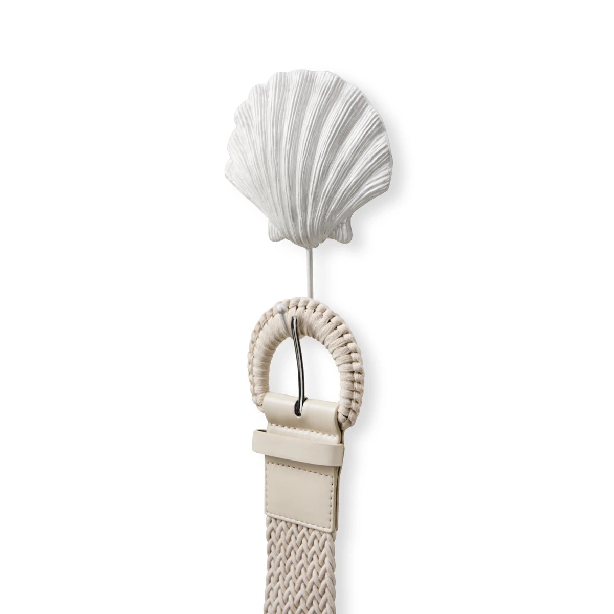 2 Shell Wall Hook, 2 of 6