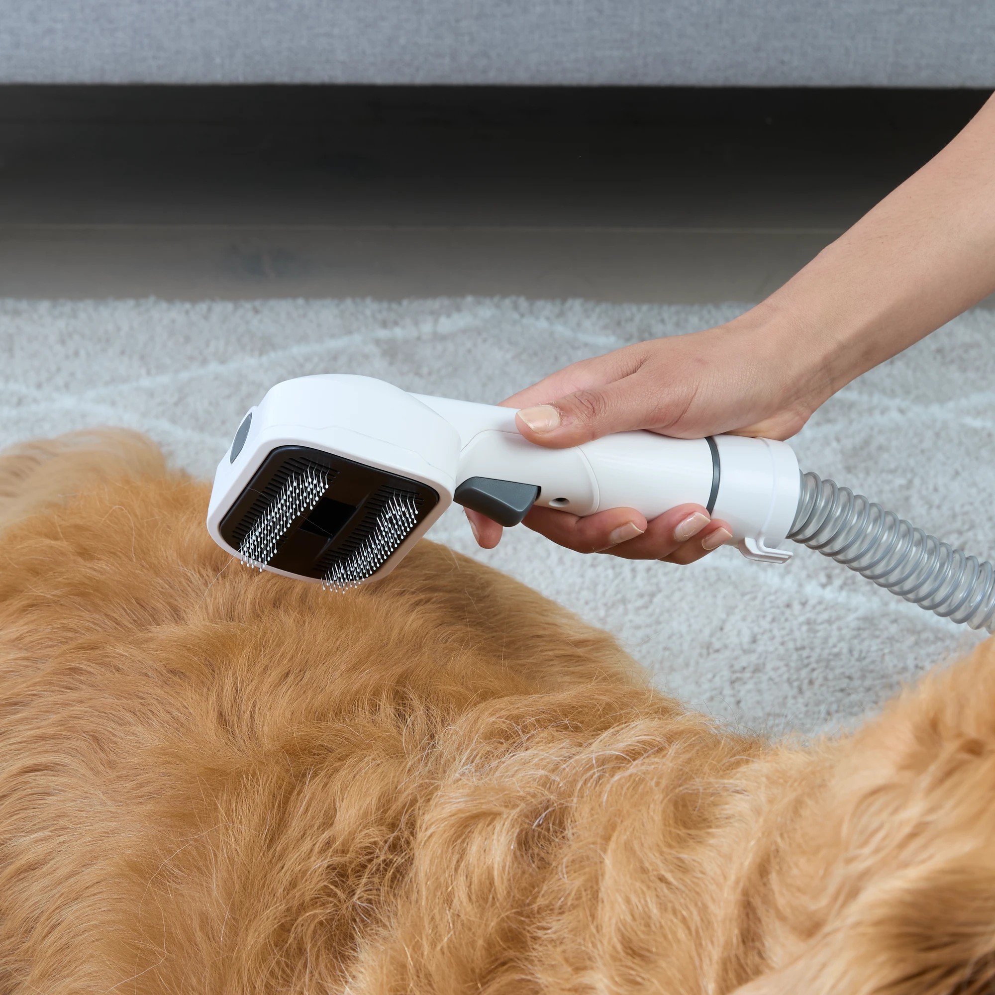 2 Pet Vacuum and Grooming Kit, 2 of 10