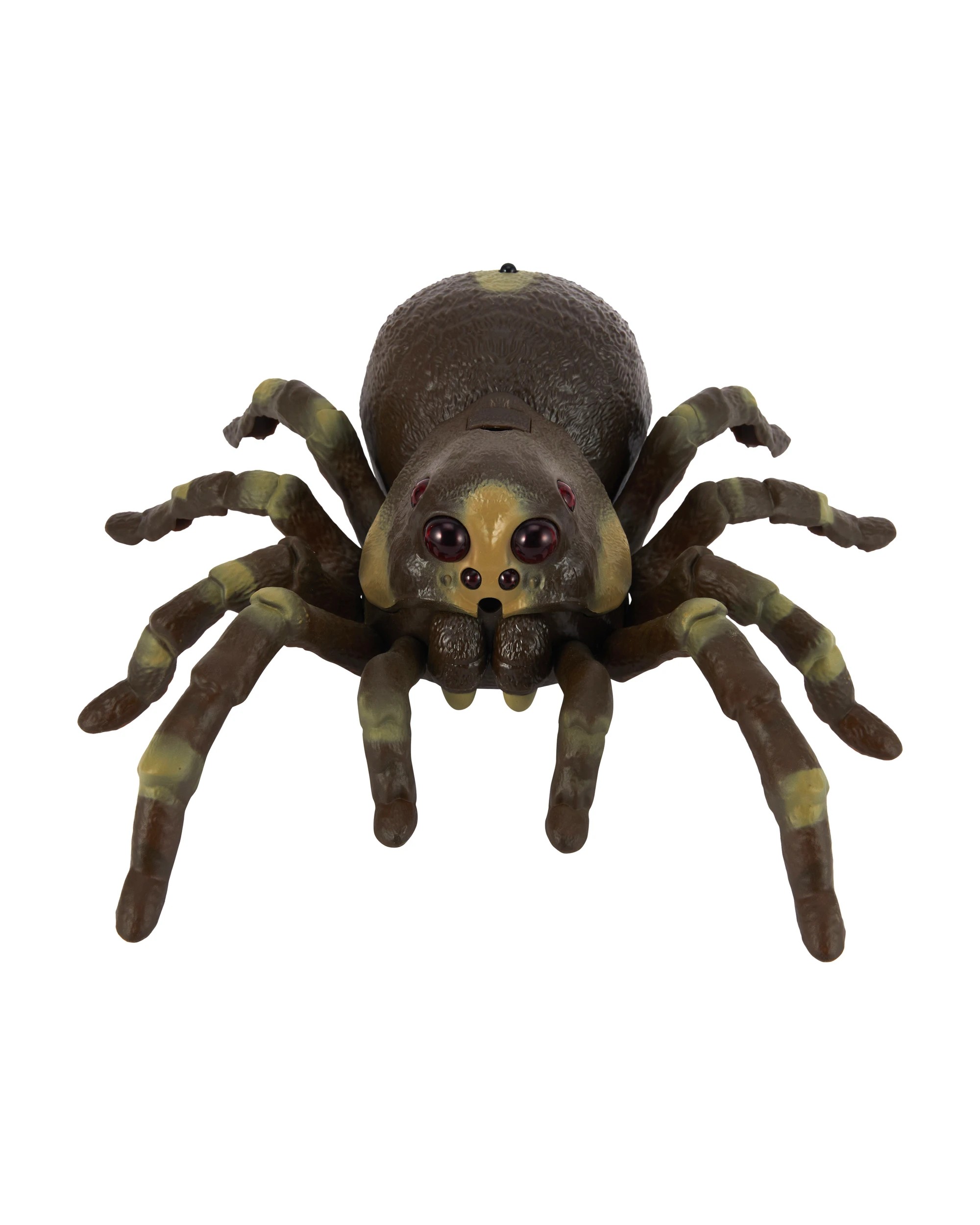 3 Remote Control Spider, 3 of 9