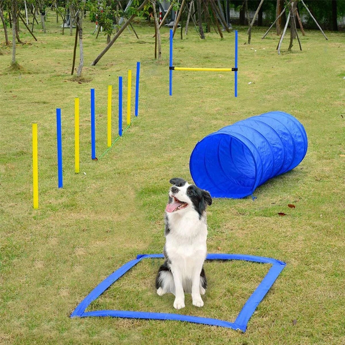 5 Pawise Dog Agility Equipment Set 28 PCS Pet Obstacle Training, 5 of 9