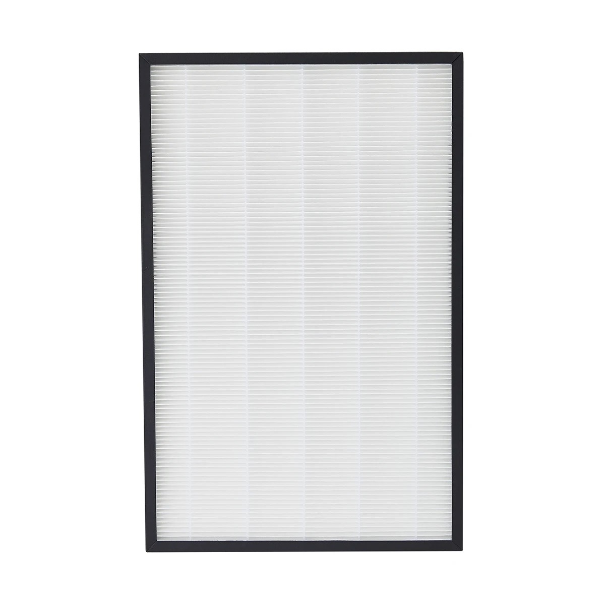 1 Replacement HEPA Filter - Large, 1 of 5