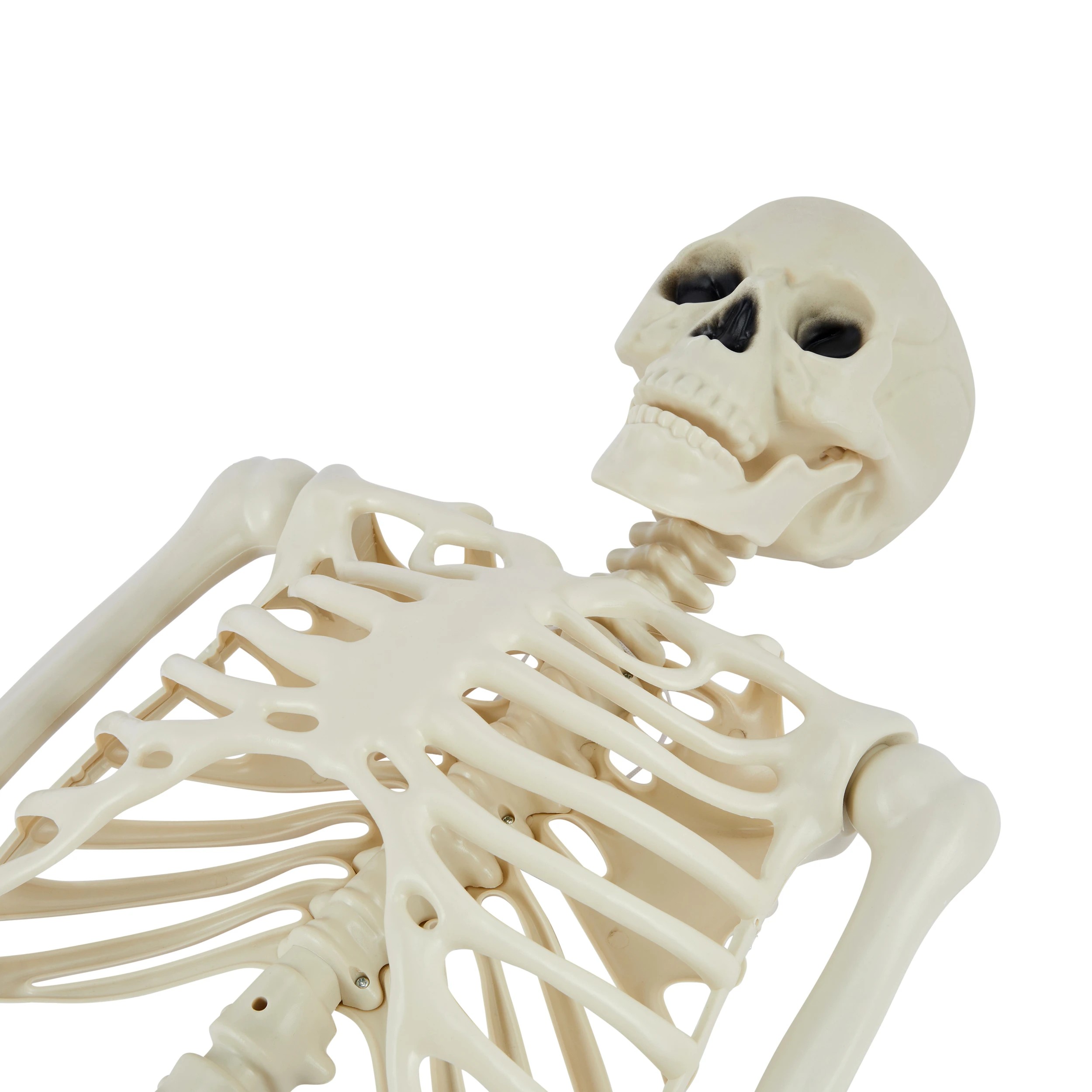 3 Posable Skeleton, 3 of 6