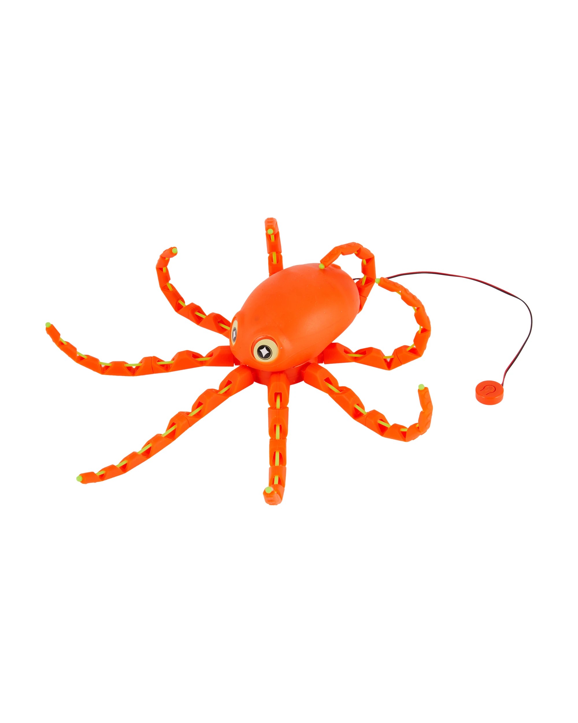 2 Octopus, 2 of 9