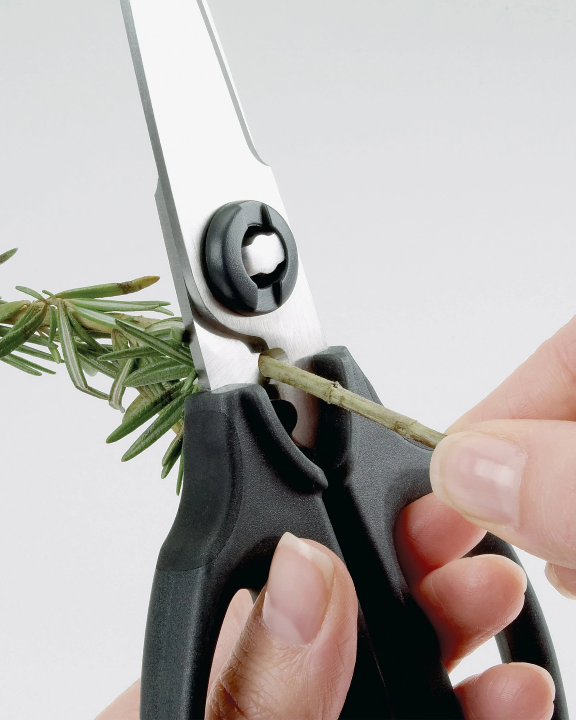 3 OXO Good Grips Kitchen & Herb Pull Apart Scissors Shears, 3 of 4